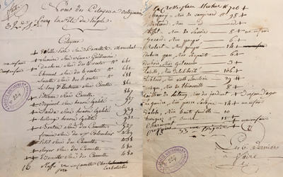 sulpice fete souverainete anVI octog SH6