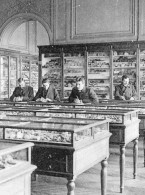 ecole-des-mines-mineralo-sh6